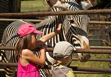 Visite au zoo